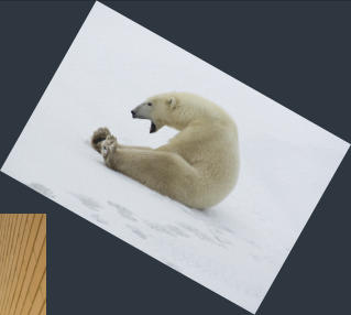  Winner. Capture Oakville Photo Contest, December 2017 "Nature & Wildlife". A Roaring White Polar Bear - Taken in the Churchill Tundra, Manitoba Canada